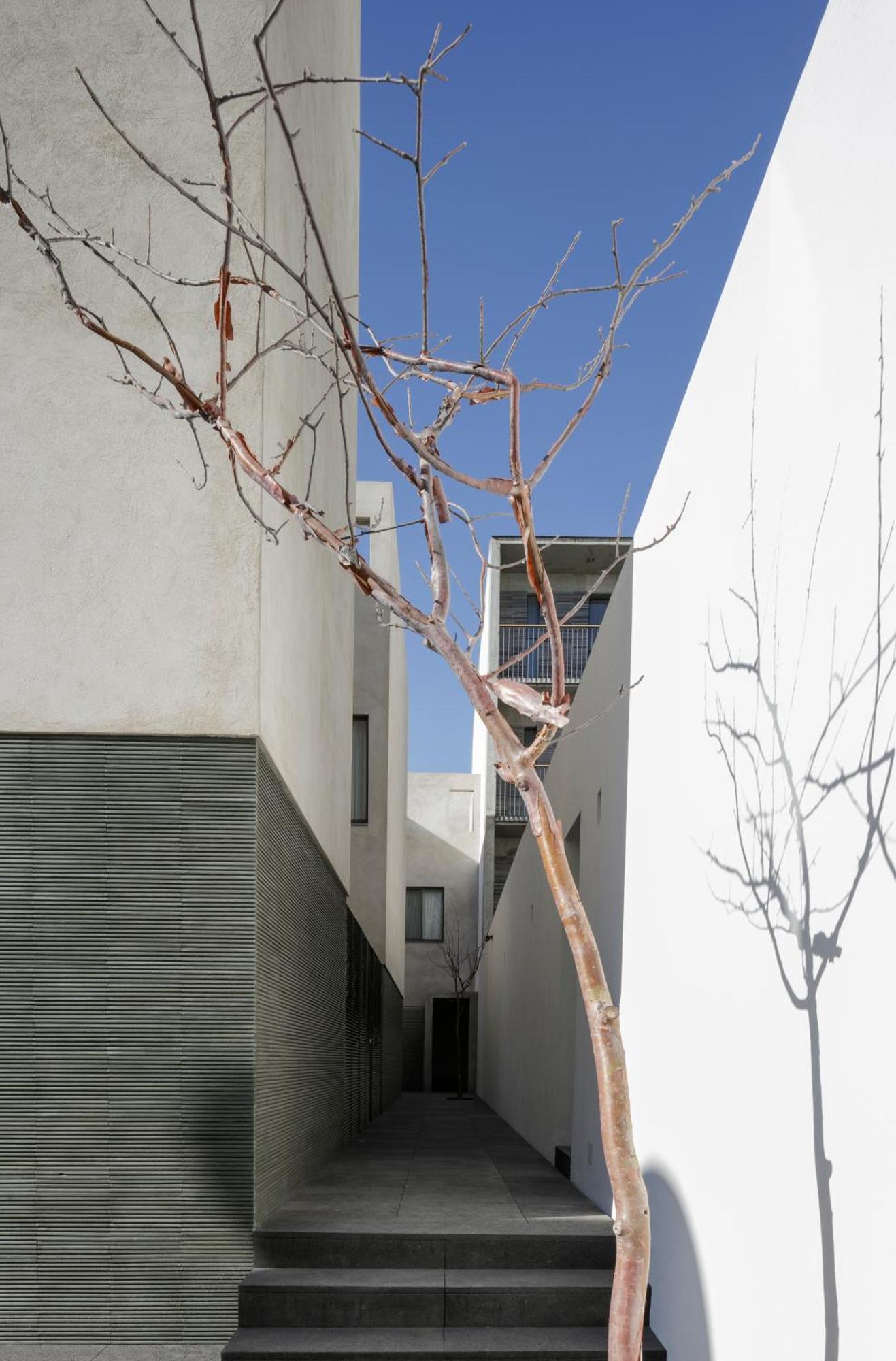 Suites Everness Guadalajara Exterior foto
